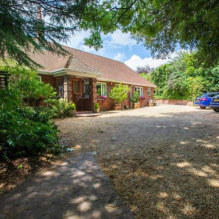 Cosy Annex, Close To Beach With Parking Torquay Exterior foto